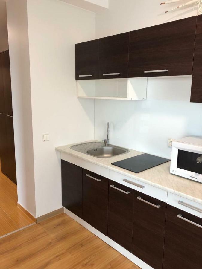Palanga Apartment Daukanto 17 Екстер'єр фото